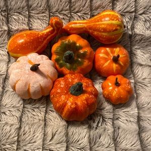 Assorted Fall Pumpkins
